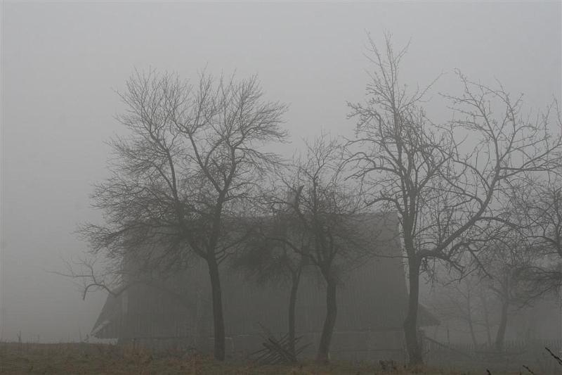 Wiosna w Beskidach 060.jpg